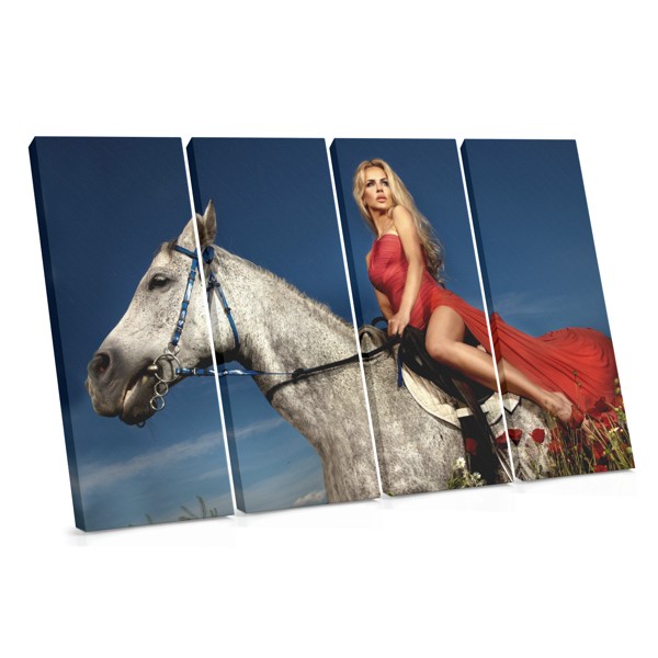 Girl with Horse Canvas Print