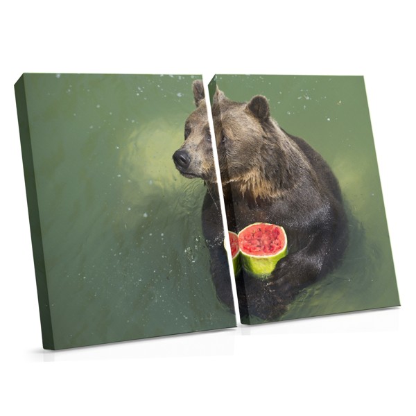 Watermelon Slice Canvas Print