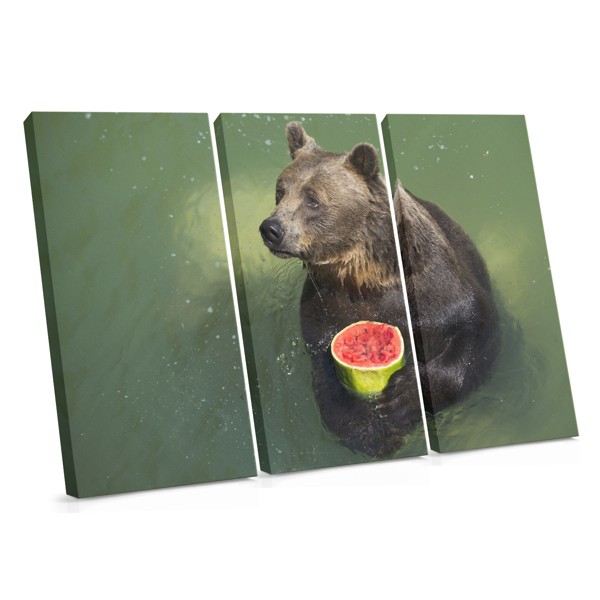 Vesimelonin viipale Canvas Print