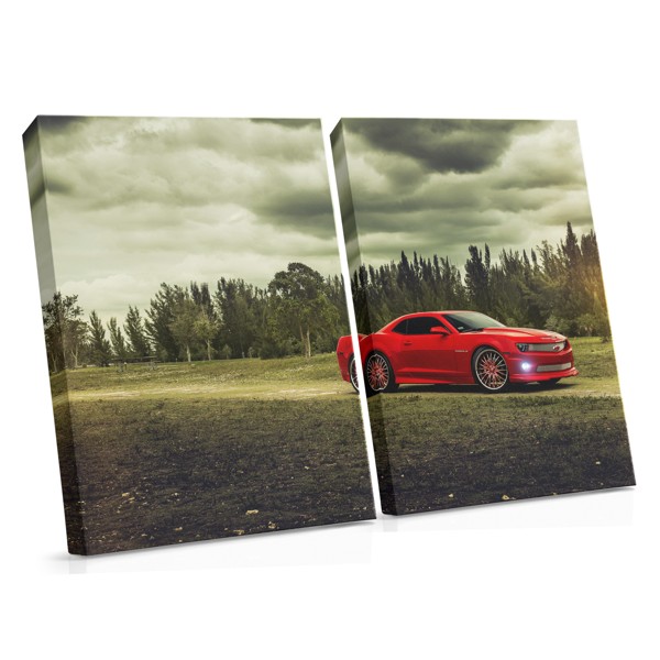 Red Element Abstract Canvas Print