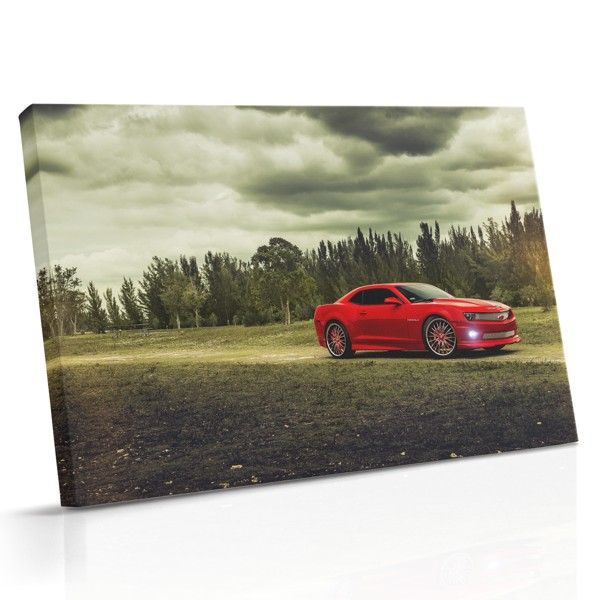 Red Element Abstract Canvas Print