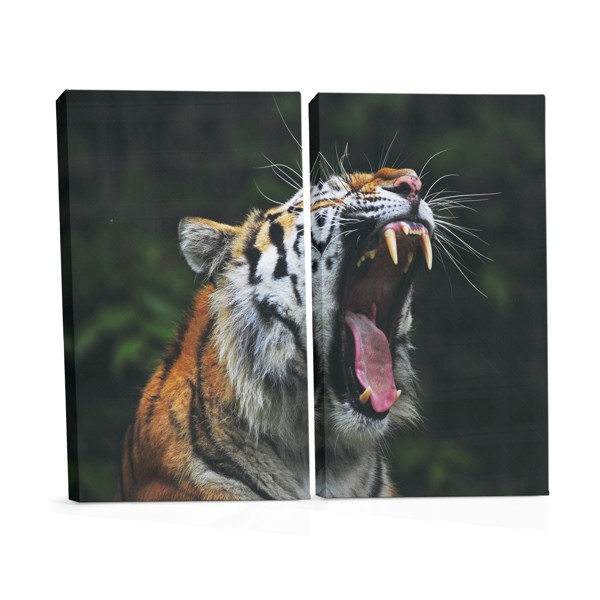Tiger Portrait Canvas Print