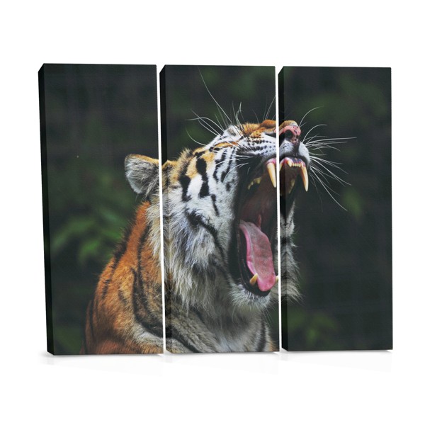 Tiger Portrait Canvas Print