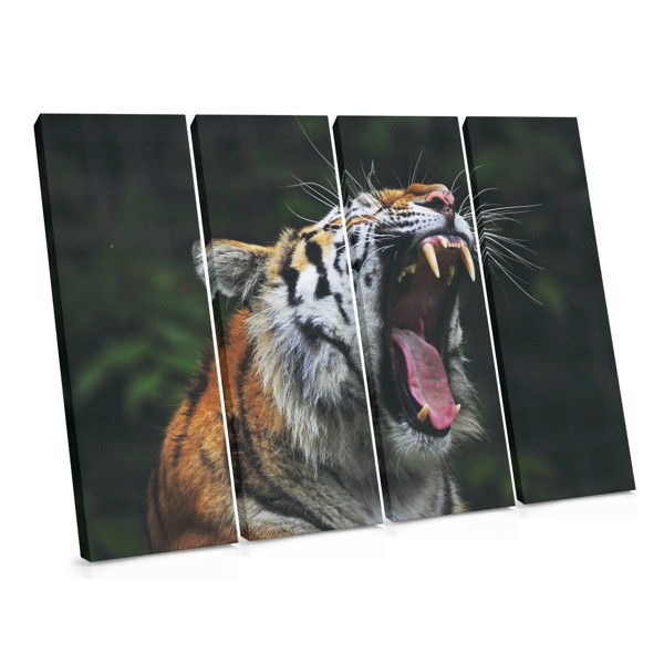 Tiger Portrait Canvas Print