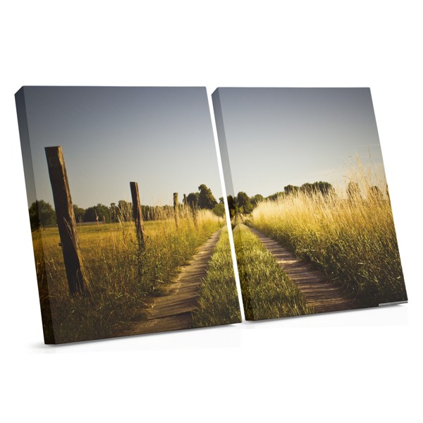Road Through Golden Field Canvas Print