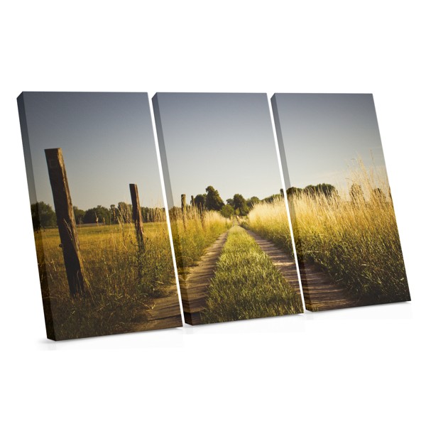 Road Through Golden Field Canvas Print