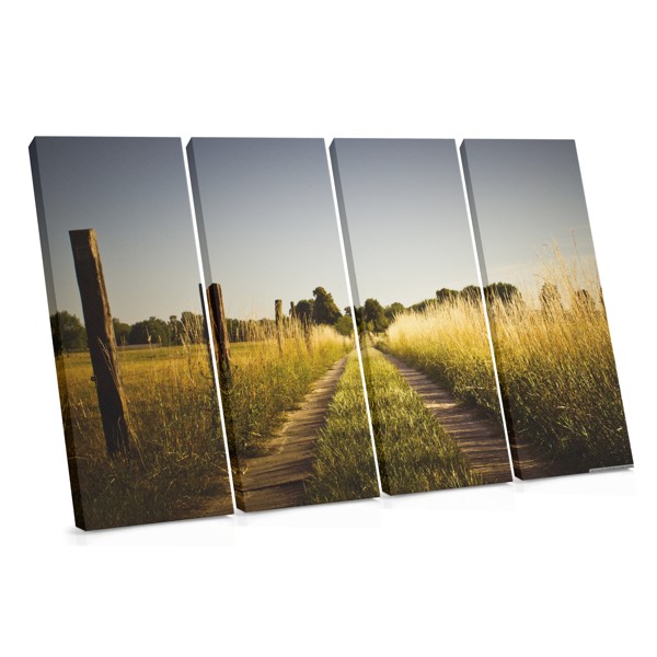 Road Through Golden Field Canvas Print