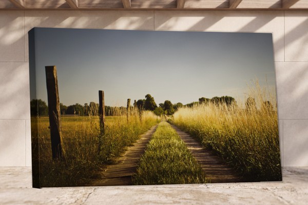 Δρόμος Διαμέσου Χρυσαφιού Πεδίου Canvas Print - στον τοίχο σε εσωτερικό χώρο