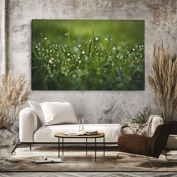 Σταγόνες Δροσιάς σε Πράσινο Λιβάδι Canvas Print - στον τοίχο σε εσωτερικό χώρο