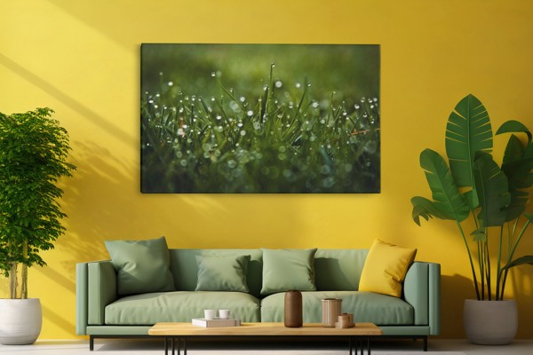 Σταγόνες Δροσιάς σε Πράσινο Λιβάδι Canvas Print - στον τοίχο σε εσωτερικό χώρο