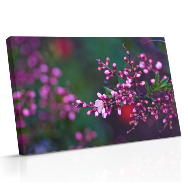 Toile Fleurs de Printemps en Fleur