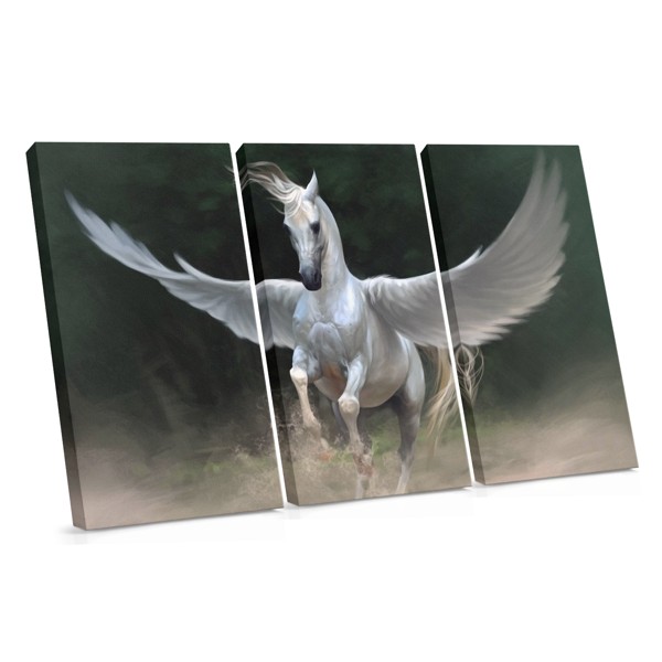 White Winged Horse Canvas Print