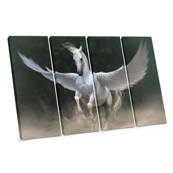 White Winged Horse Canvas Print