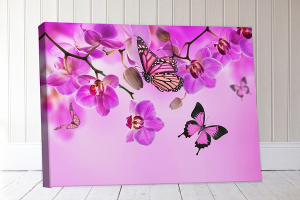 Toile Imprimée Orchidée et Papillon - au mur dans un intérieur