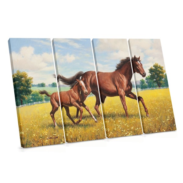 Horse Birth Drawing Canvas Print