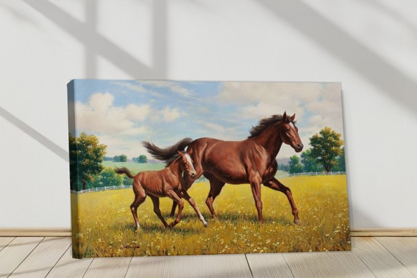 Horse Birth Drawing Canvas Print - on the wall in a room interior