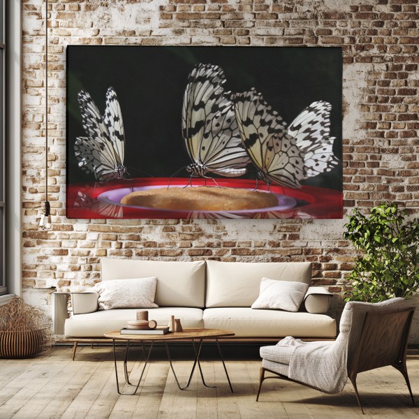 Butterfly at Night Canvas Print - on the wall in a room interior