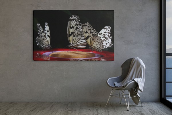 Butterfly at Night Canvas Print - on the wall in a room interior