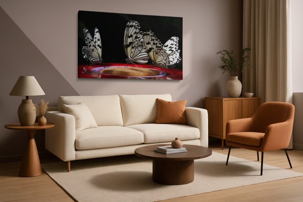 Butterfly at Night Canvas Print - on the wall in a room interior