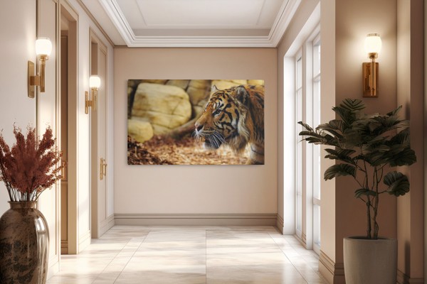 Tiger Resting on Rocks Canvas Print - on the wall in a room interior