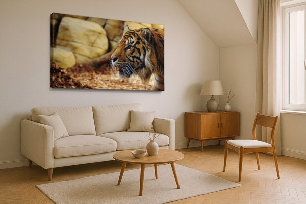 Tiger Resting on Rocks Canvas Print - on the wall in a room interior