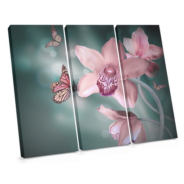 Orchidee und Schmetterling Leinwanddruck