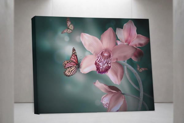 Orchidee und Schmetterling Leinwanddruck - an der Wand in einem Raum
