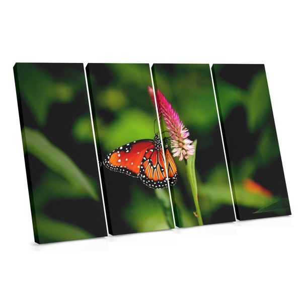Λευκή Πεταλούδα σε Μωβ Λουλούδια Canvas Print