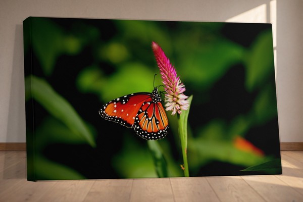 Papillon Blanc sur Fleurs Violettes Toile - au mur dans un intérieur