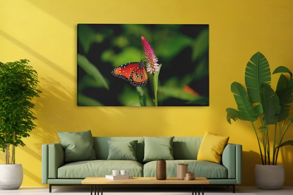 Papillon Blanc sur Fleurs Violettes Toile - au mur dans un intérieur