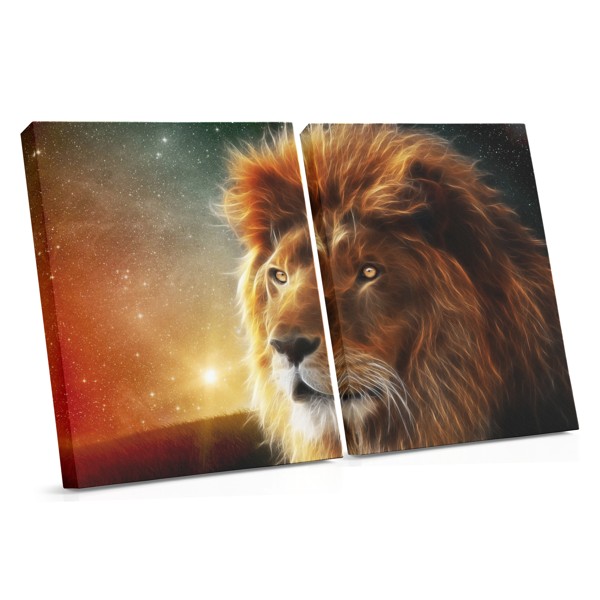 Lion Portrait with Sun Canvas Print
