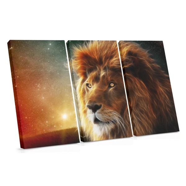 Lion Portrait with Sun Canvas Print