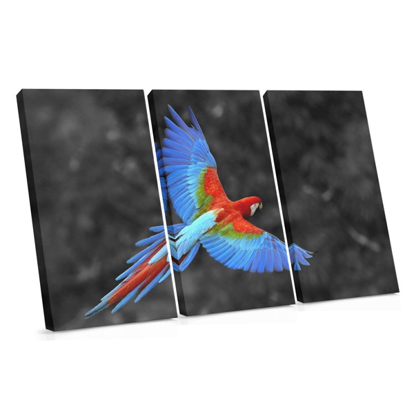 Parrot in Flight Canvas Print