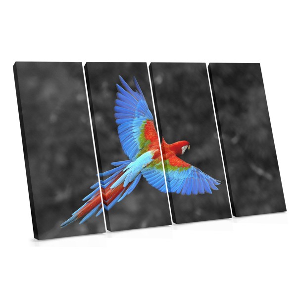 Parrot in Flight Canvas Print