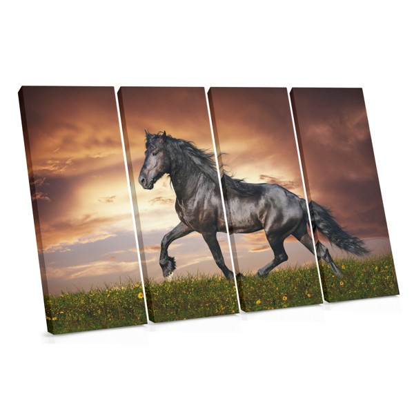 Black Stallion Portrait Canvas Print