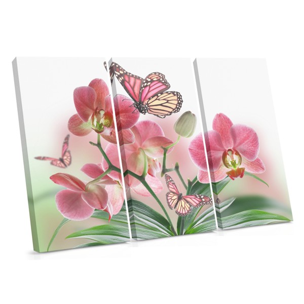 Orchidėja ir drugelis ant drobės