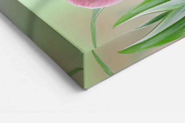 Orchid and Butterfly Bouquet Canvas Print - on the wall in a room interior