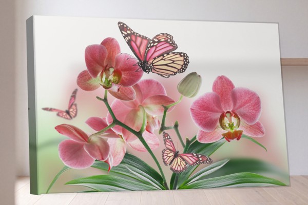 Orchid and Butterfly Bouquet Canvas Print - on the wall in a room interior