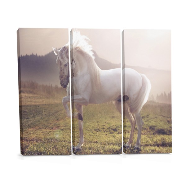 Impressão em Tela Retrato de Cavalo Solitário