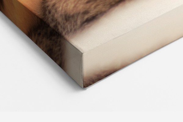 Jautra kaķa portreta audekla prints - uz sienas telpā