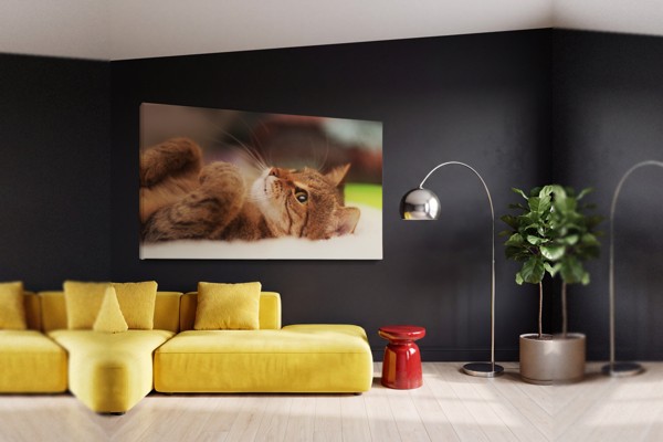 Jautra kaķa portreta audekla prints - uz sienas telpā