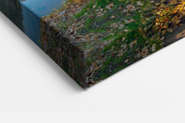 Silent Lake Landscape Canvas Print - on the wall in a room interior
