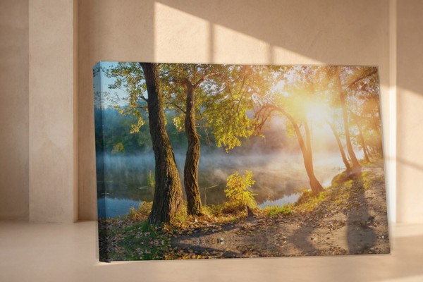 Silent Lake Landscape Canvas Print - on the wall in a room interior