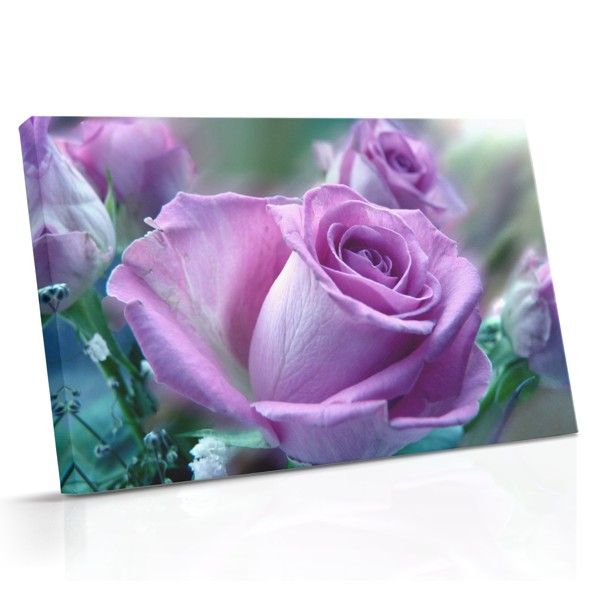 Sour Rose Canvas Print - Yksittäinen kukka tummaalla taustalla