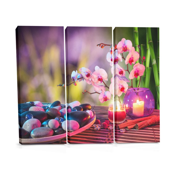 Zen Orchidėja ir Akmenys Drobė