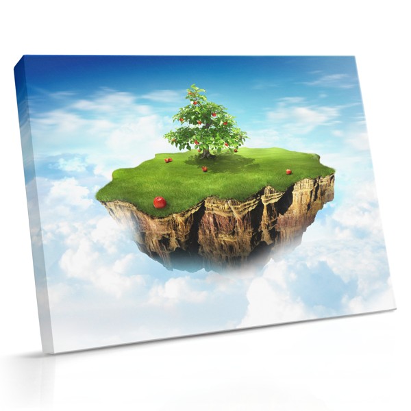 Secret Garden Sky Island Canvas Print