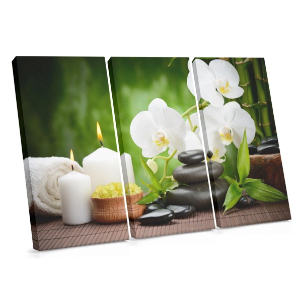 Feng Shui Orchidėja Balanso Drobė