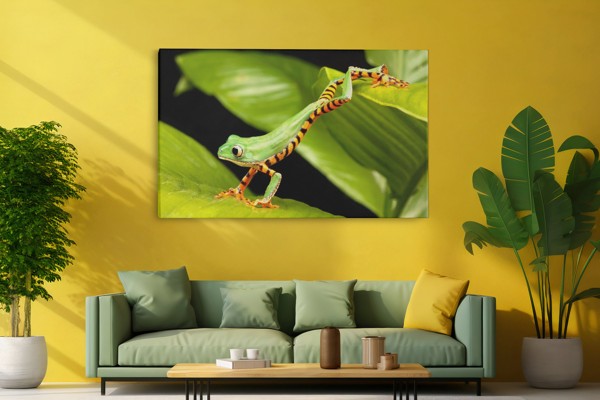 Dansatoarea - Tablou Canvas - pe perete într-un interior