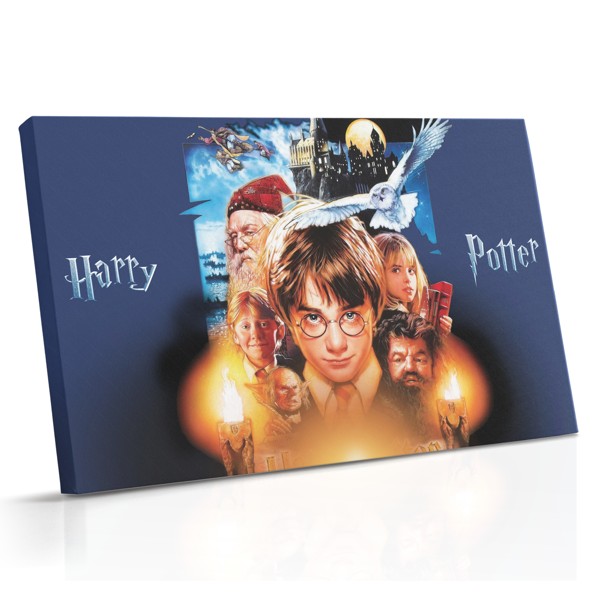 Young Wizard in Round Glasses Canvas Print