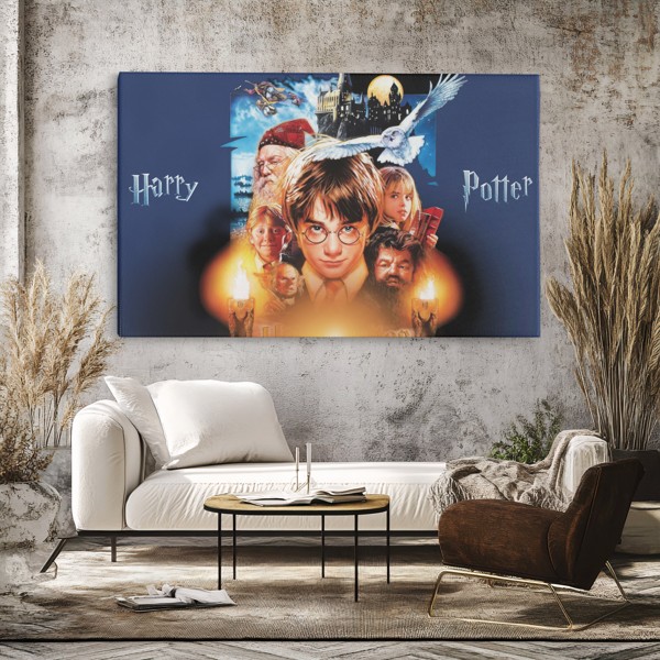 Young Wizard in Round Glasses Canvas Print - on the wall in a room interior